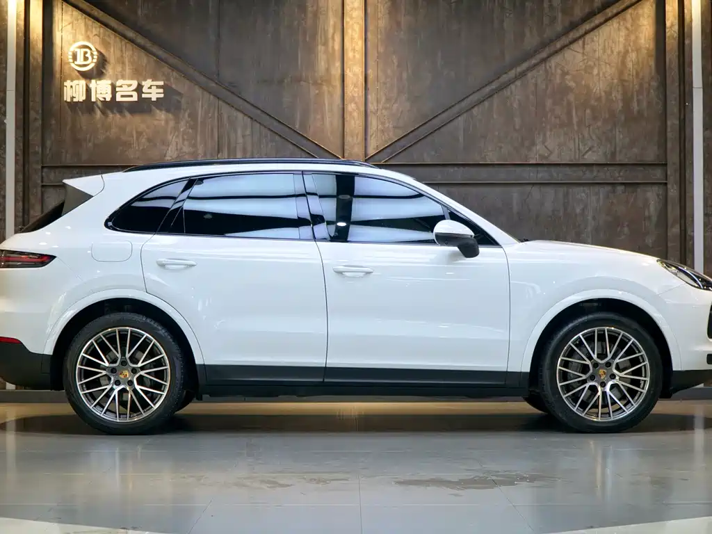 Porsche Cayenne 2019 — фото 22