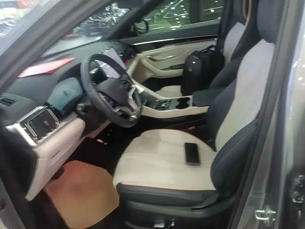 BYD PLUS New Energy 2023 — фото 15