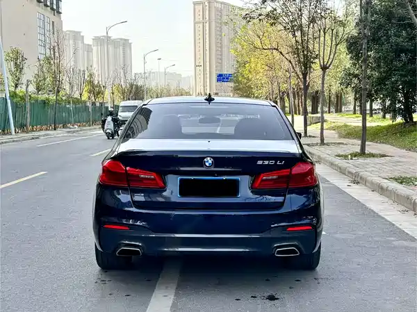 BMW 5 Series 2019