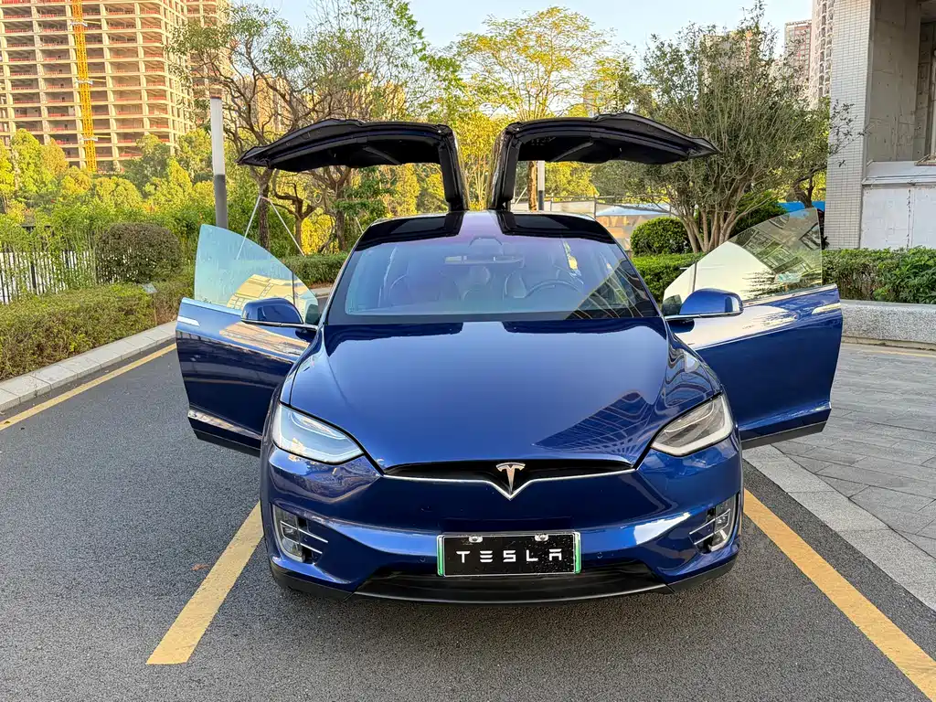 Tesla Model X 2019 — фото 20