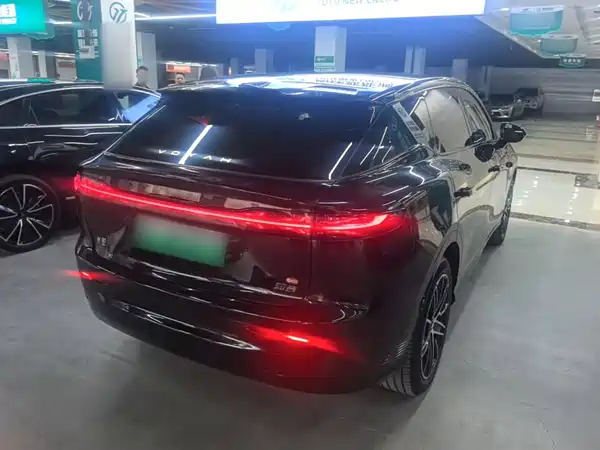 Voyah Zhiyin 2025