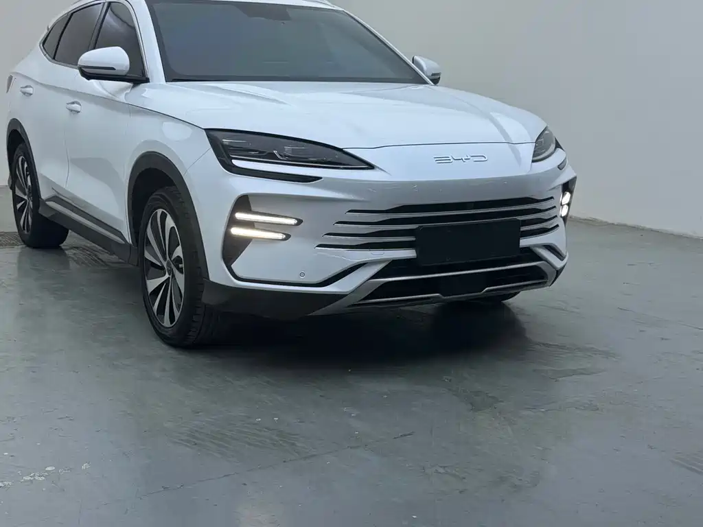 BYD PLUS New Energy 2024 — фото 1