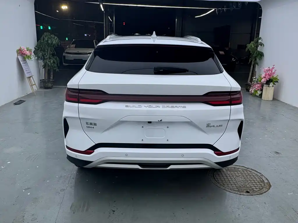 BYD PLUS New Energy 2024 — фото 10