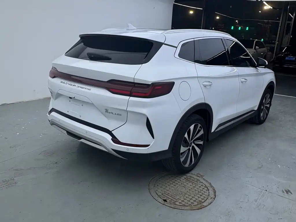 BYD PLUS New Energy 2024 — фото 11