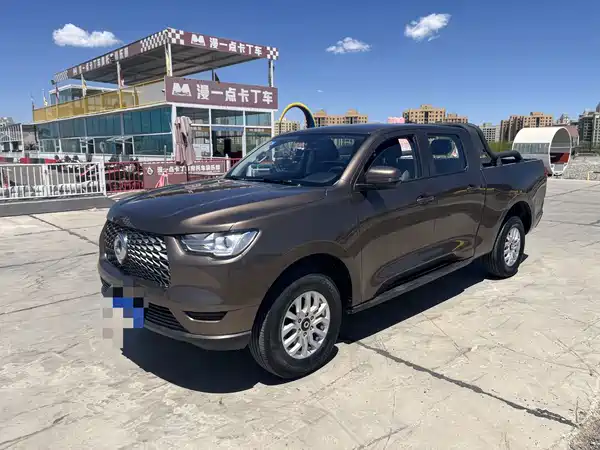 Great Wall Poer 2020