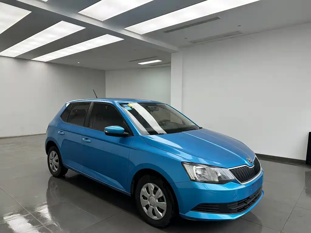 Skoda Fabia 2015 — фото 3