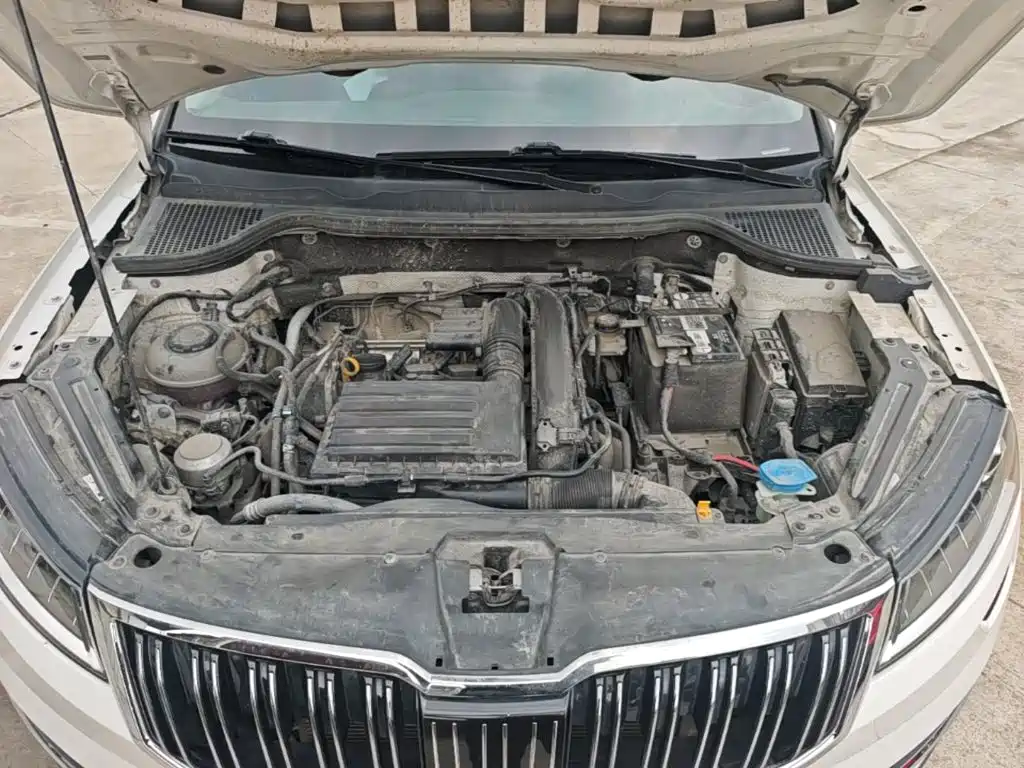 Skoda Karoq 2020 — фото 20