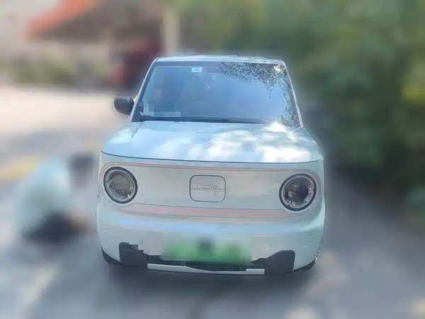 Geely Galaxy Panda 2023