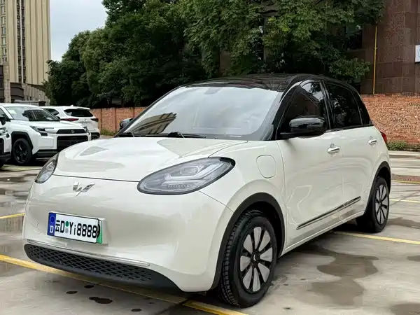 Wuling Bingo 2024