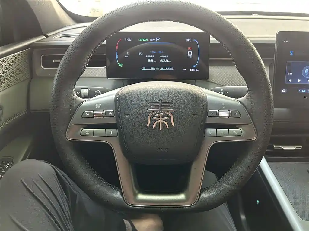 BYD Qin PLUS 2025 — фото 10