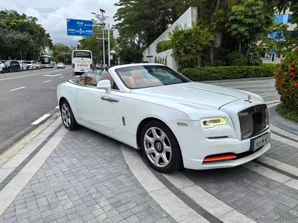 Rolls-Royce Yao Ying 2019 — фото 11