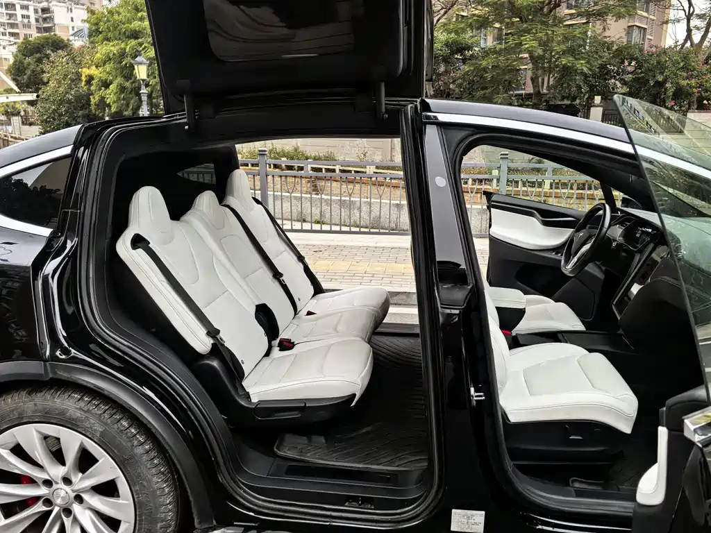 Tesla Model X 2019 — фото 11