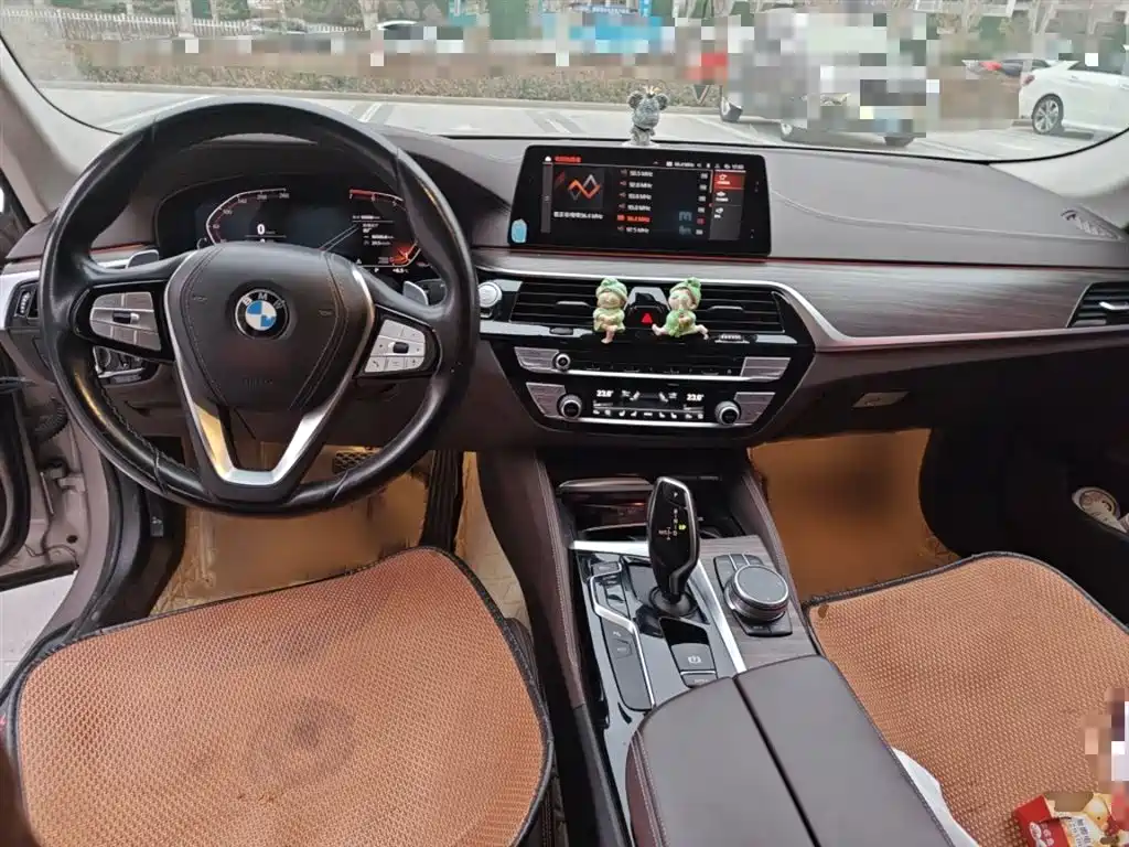 BMW 5 Series 2020 — фото 13