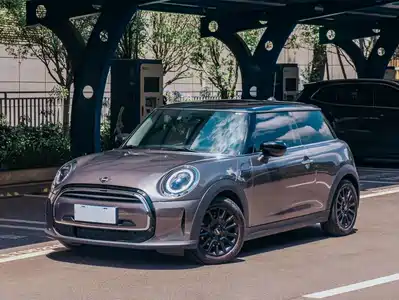 MINI MINI 2021