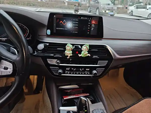 BMW 5 Series 2020