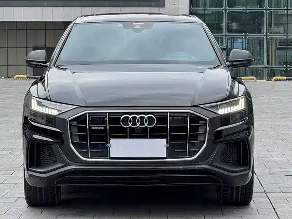 Audi Q8 2019
