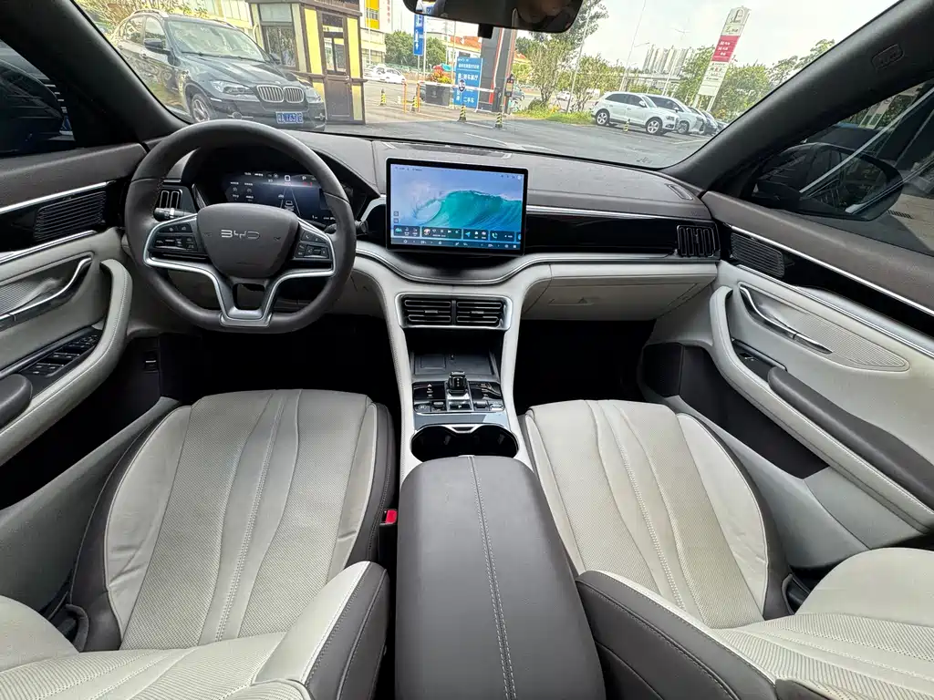BYD Song PLUS New Energy 2025 — фото 10