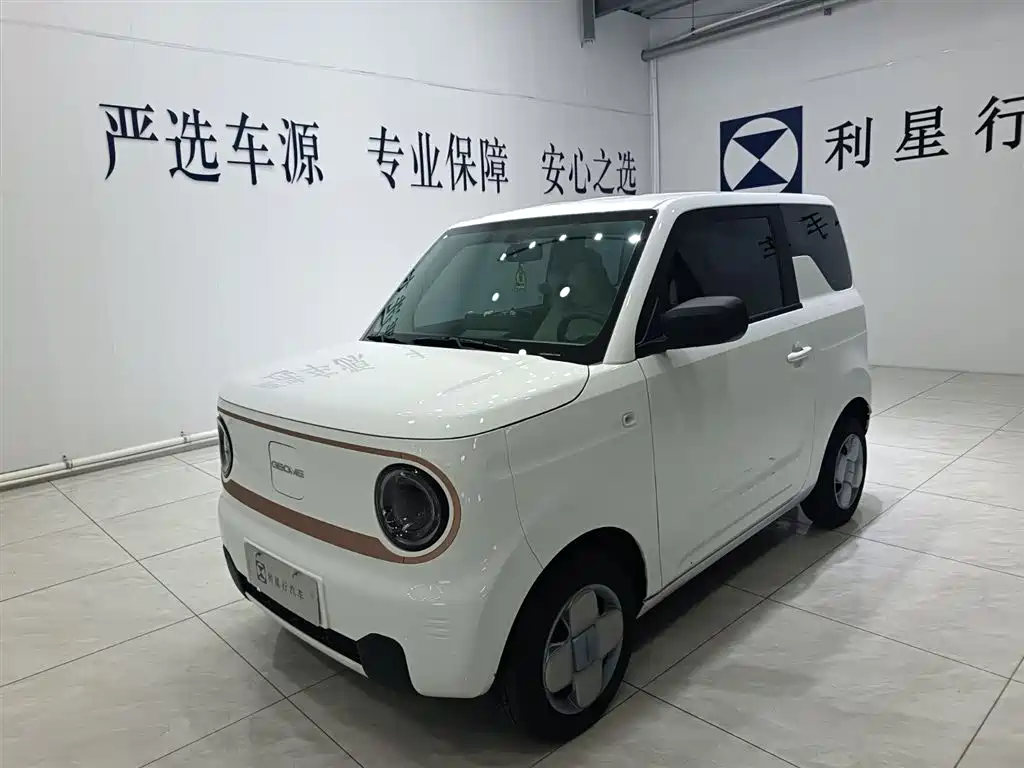 Geely Galaxy Panda 2024 — фото 1