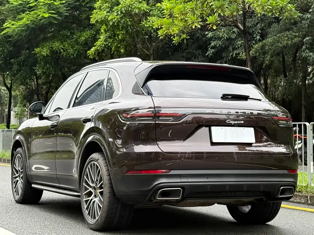 Porsche Cayenne 2020 — фото 18