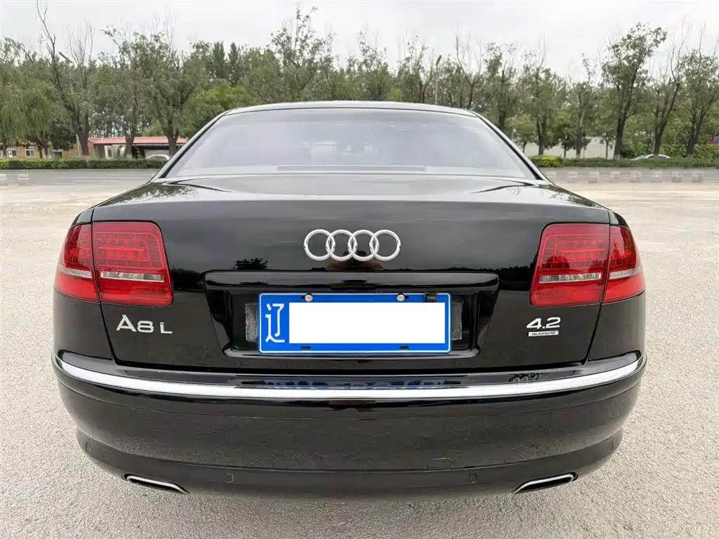 Audi A8 2010 — фото 18