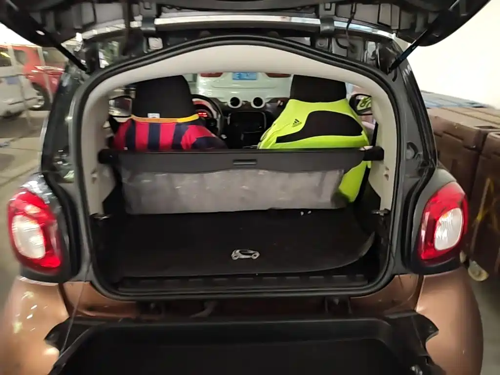 smart fortwo 2015 — фото 12