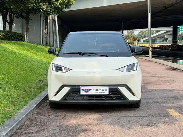 BYD Seagull 2024