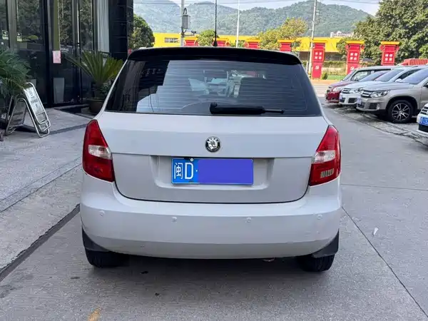 Skoda TECHART 2010