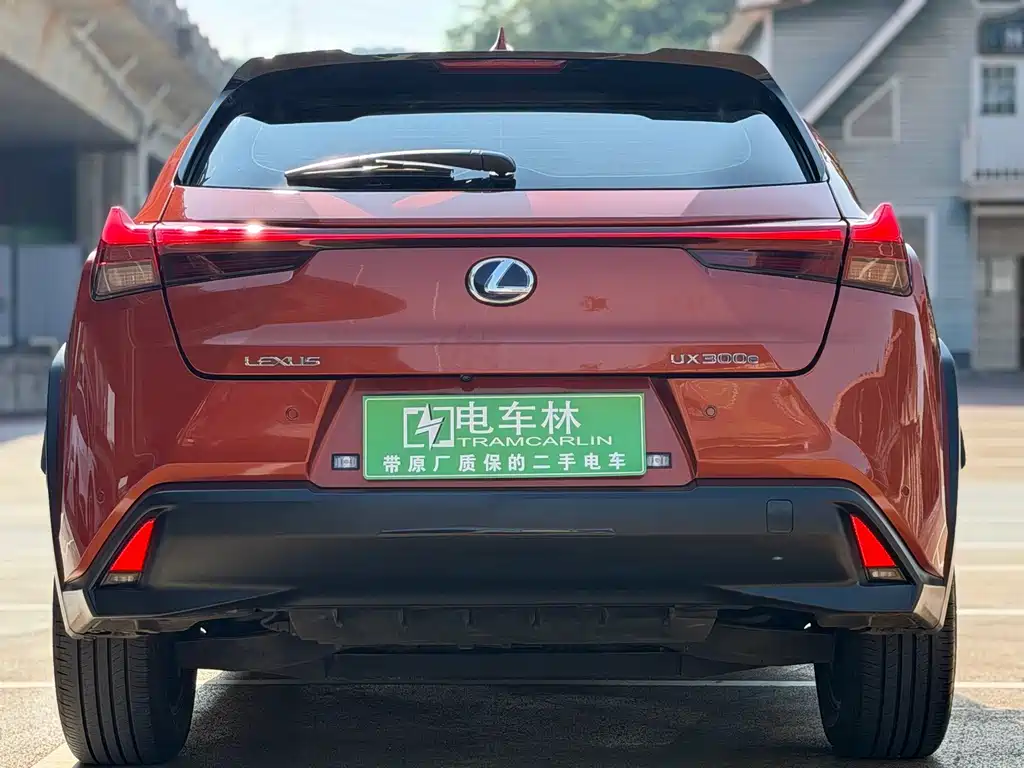 Lexus UX New Energy 2020 — фото 16