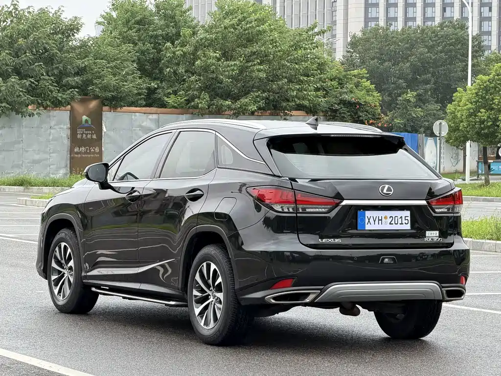 Lexus RX 2020 — фото 18