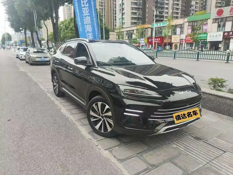 BYD PLUS New Energy 2024 — фото 2