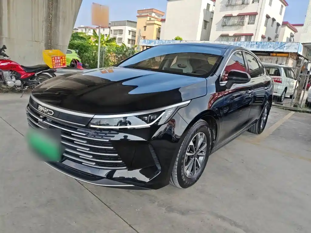 BYD Destroyer 05 2024 — фото 1