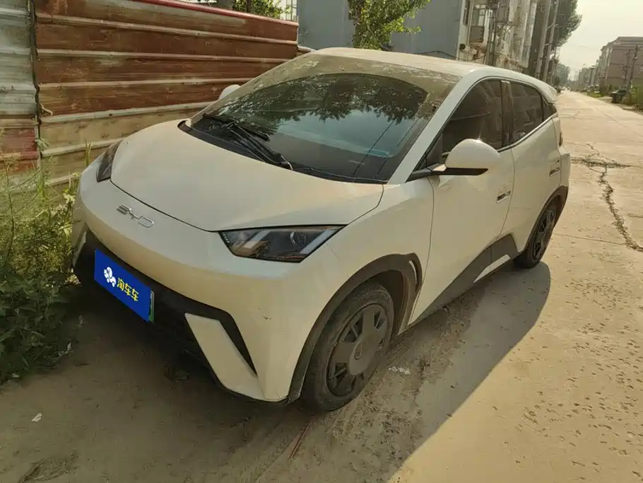 BYD Seagull 2024