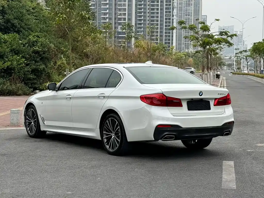 BMW 5 Series 2020 — фото 9