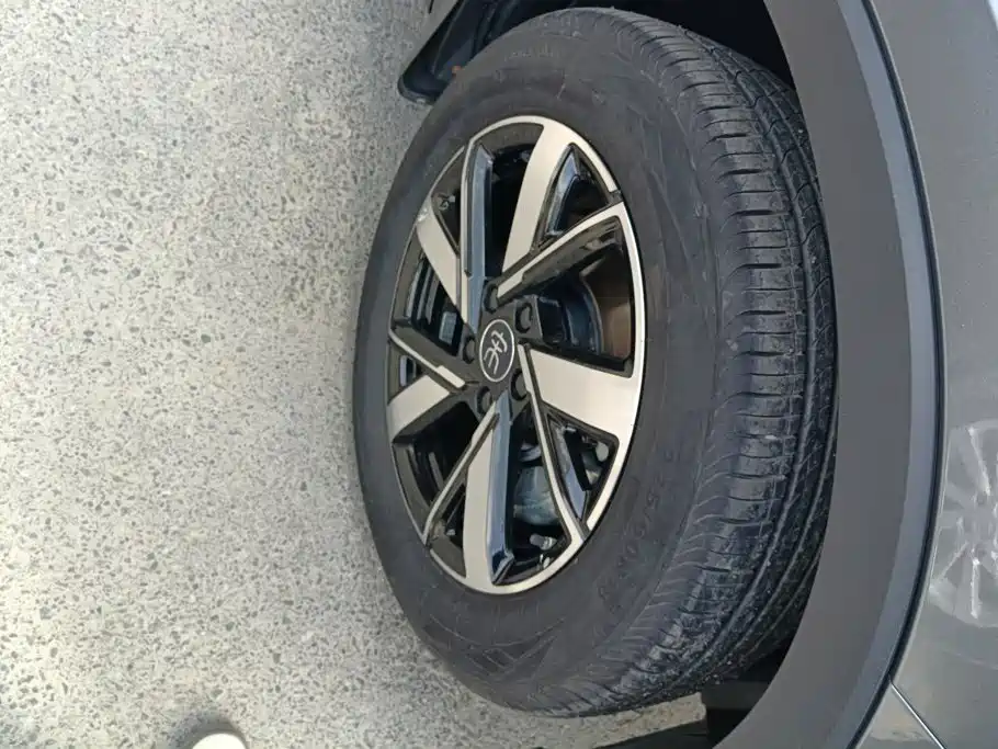 BYD Song Pro New Energy 2024 — фото 6