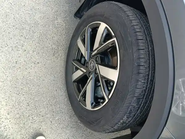 BYD Song Pro New Energy 2024