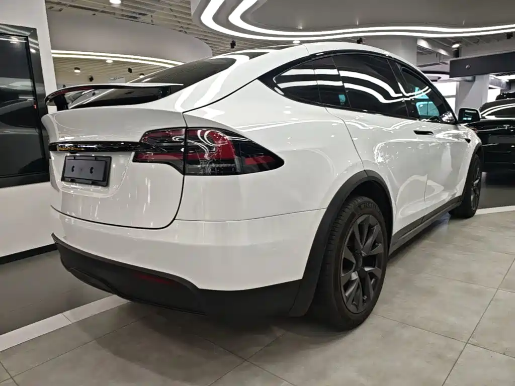 Tesla Model X 2023 — фото 7