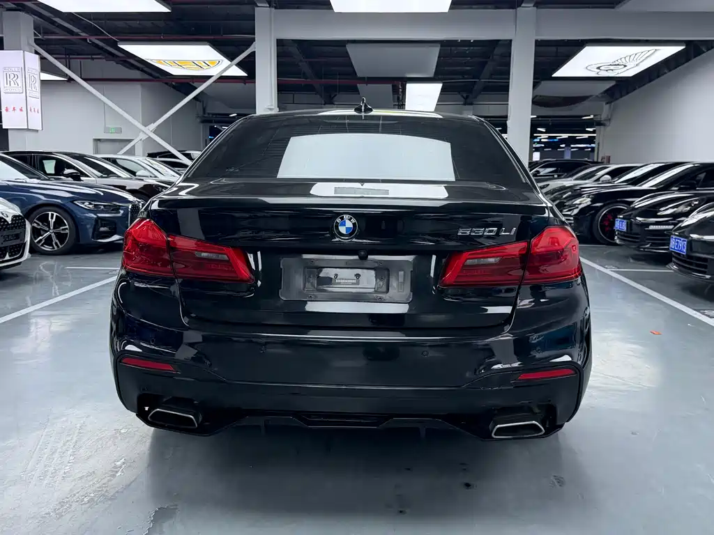 BMW 5 Series 2018 — фото 19
