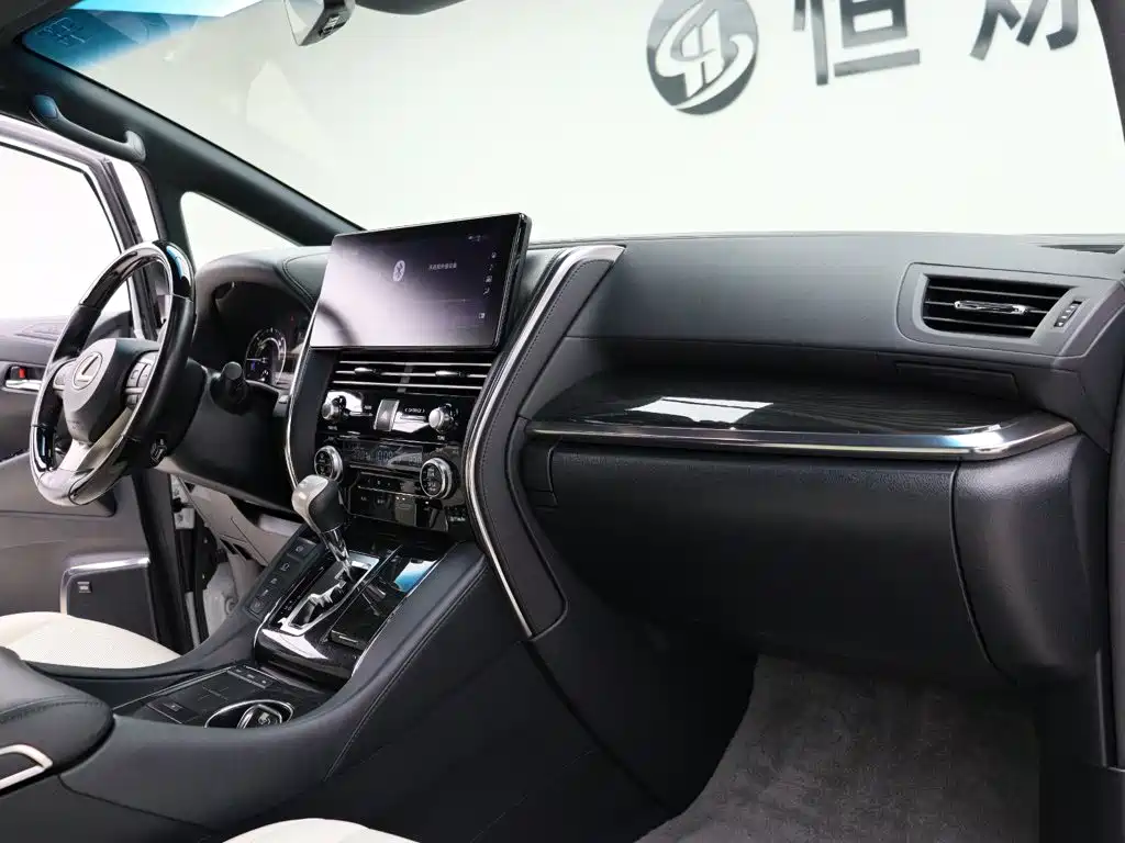 Lexus LM 2020 — фото 18