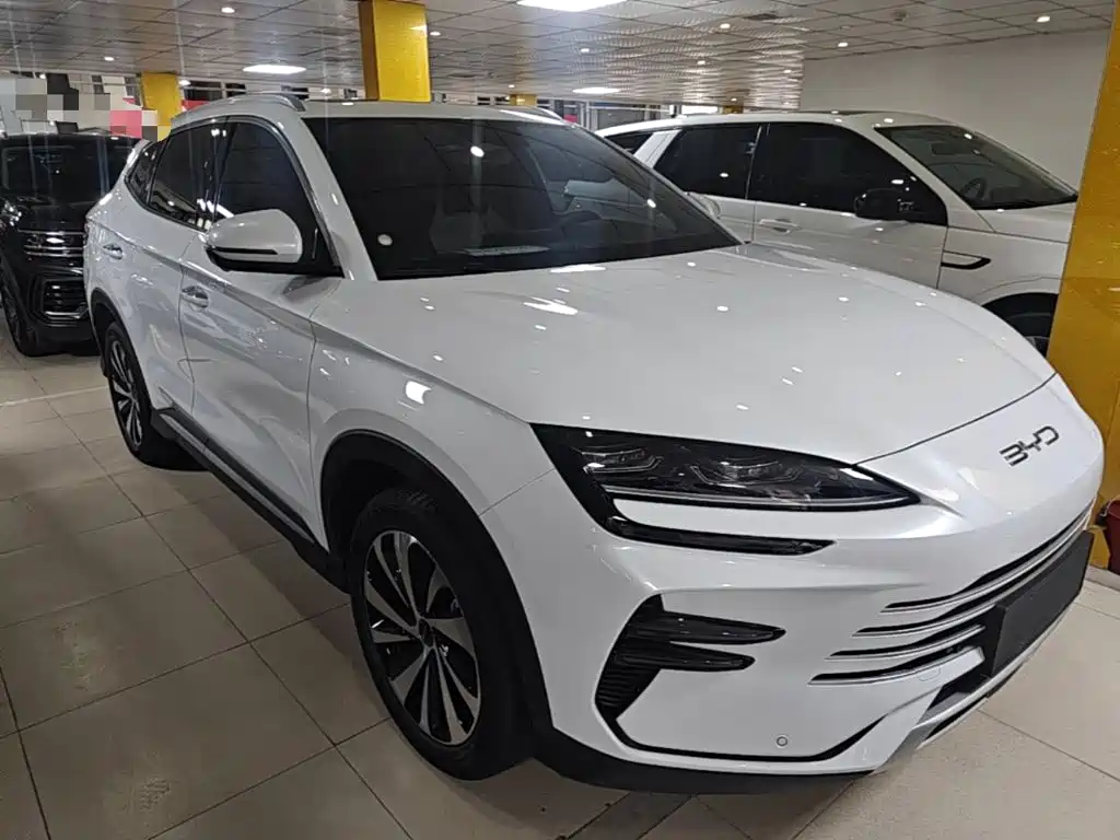 BYD PLUS New Energy 2024 — фото 4