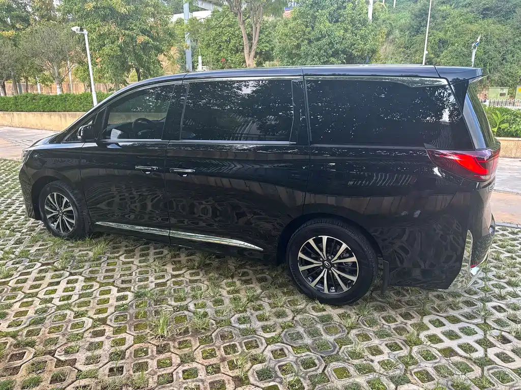GAC Trumpchi M8 2023 — фото 11