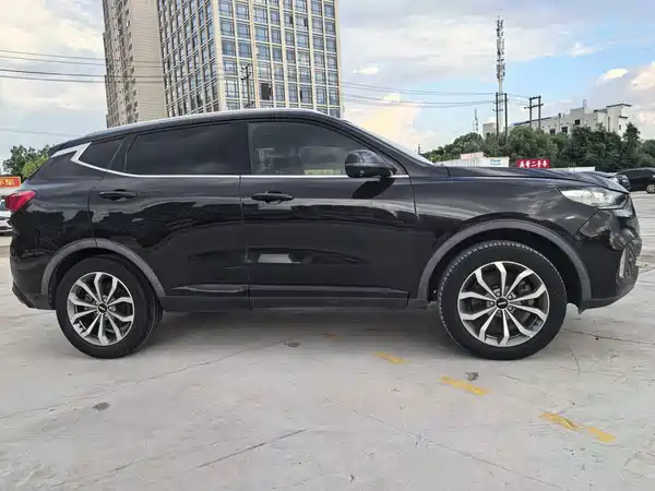 Wey VV6 2020