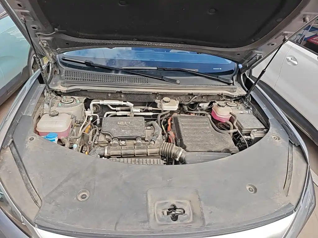 BYD Song Pro New Energy 2025 — фото 20
