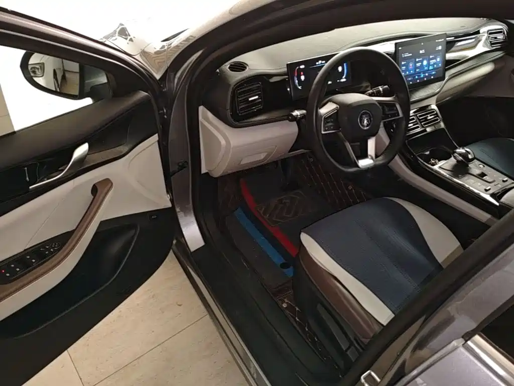 BYD Qin PLUS 2024 — фото 12
