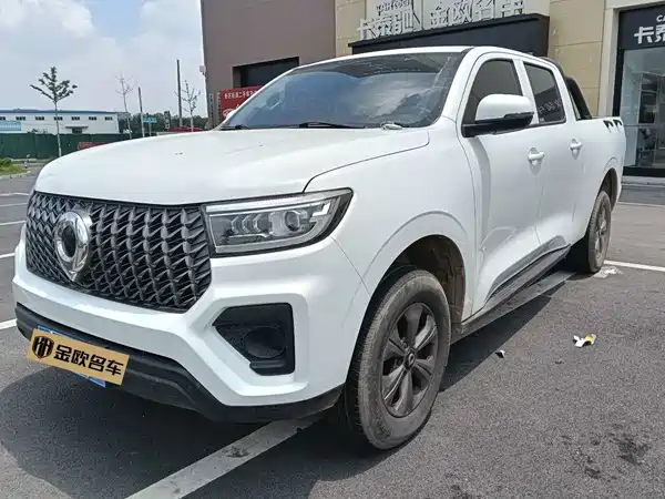 Great Wall Poer 2024