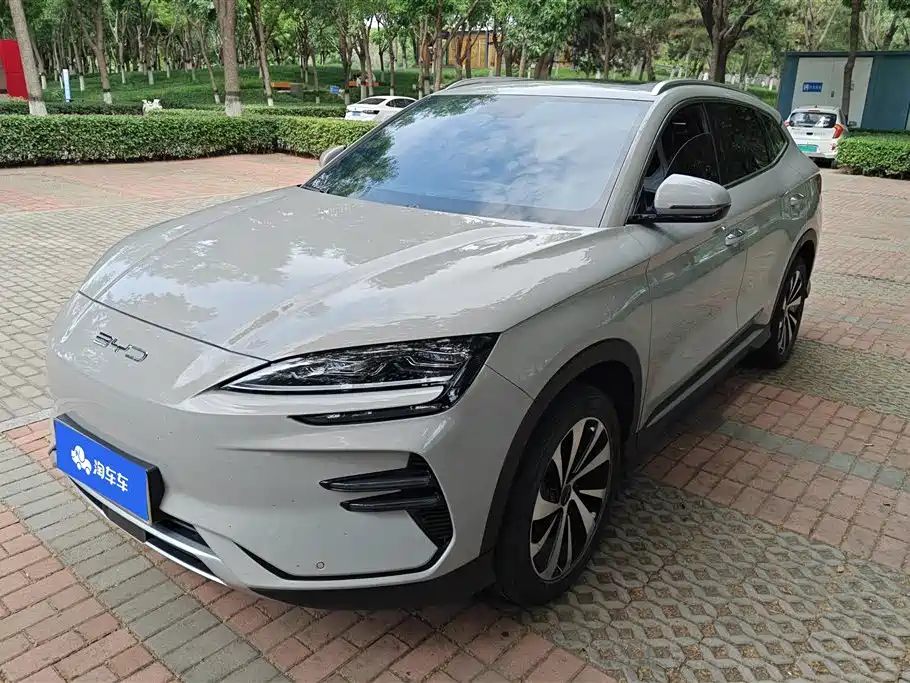 BYD PLUS New Energy 2024 — фото 1