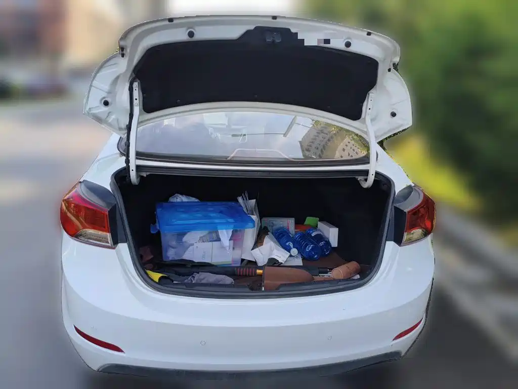 Hyundai Elantra Langdong 2016 — фото 10