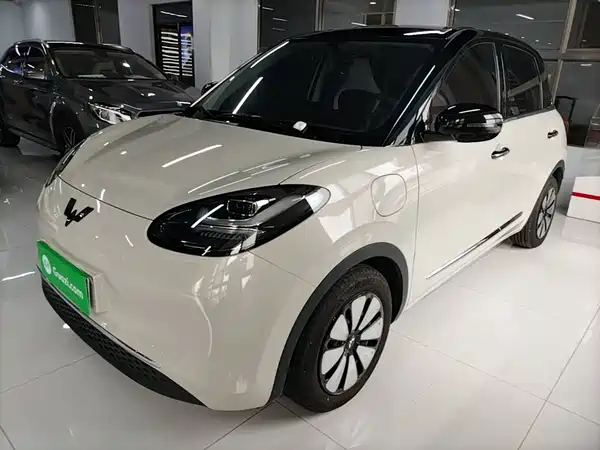 Wuling Bingo 2024