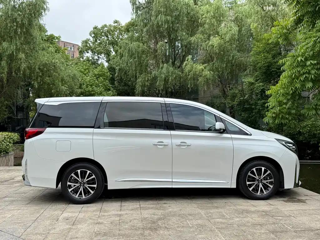 GAC Motor Trumpchi M8 2023 — фото 8