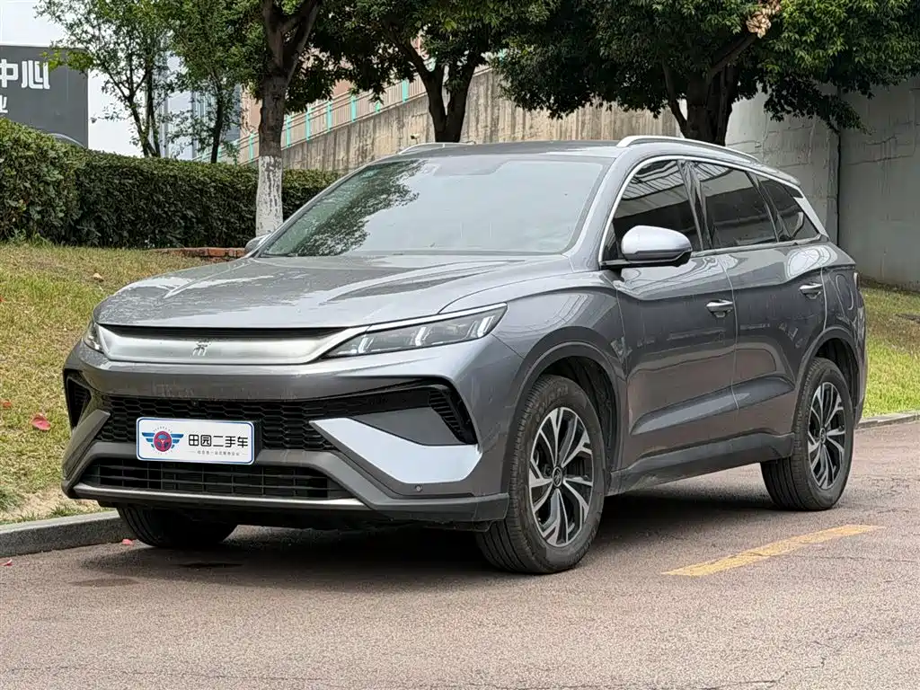 BYD Pro New Energy 2025