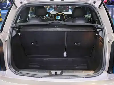 MINI MINI 2024